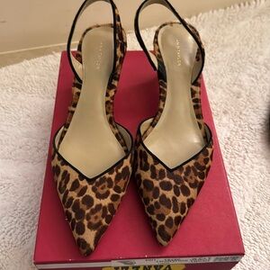 Ann Taylor kitten heel sling back.  Worn a few times.  Size 8.5 leopard.